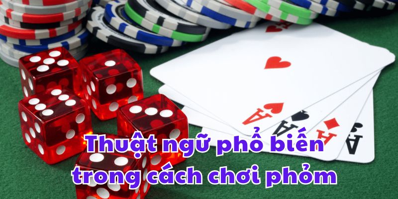 Thuật ngữ phổ biến trong cách chơi phỏm